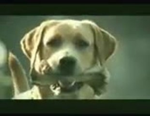 amrapali complaints(Jaisalmer - Journey Ep #4 - Full Episode - Roadies X1)