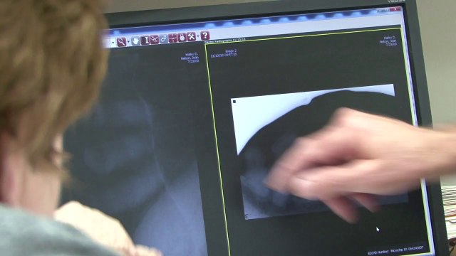 Welcome to Jordan River Animal Hospital