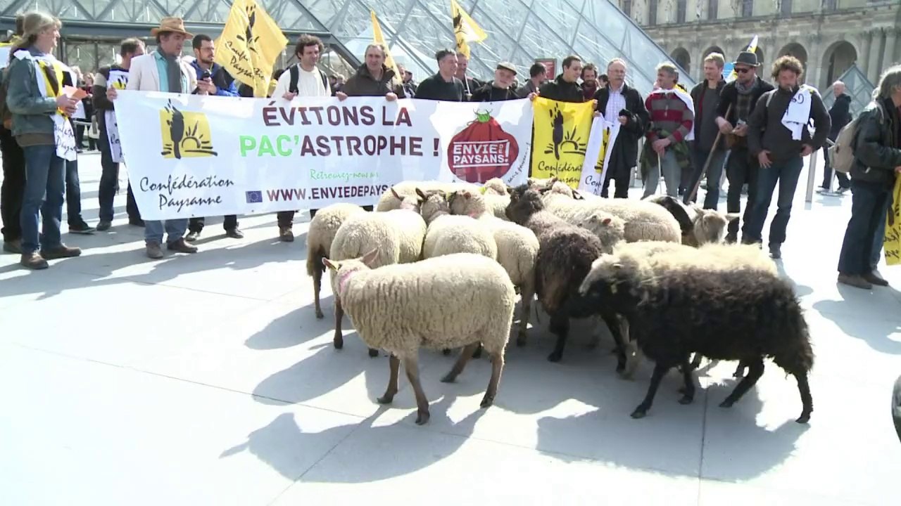 Ovelhas invadem o Louvre