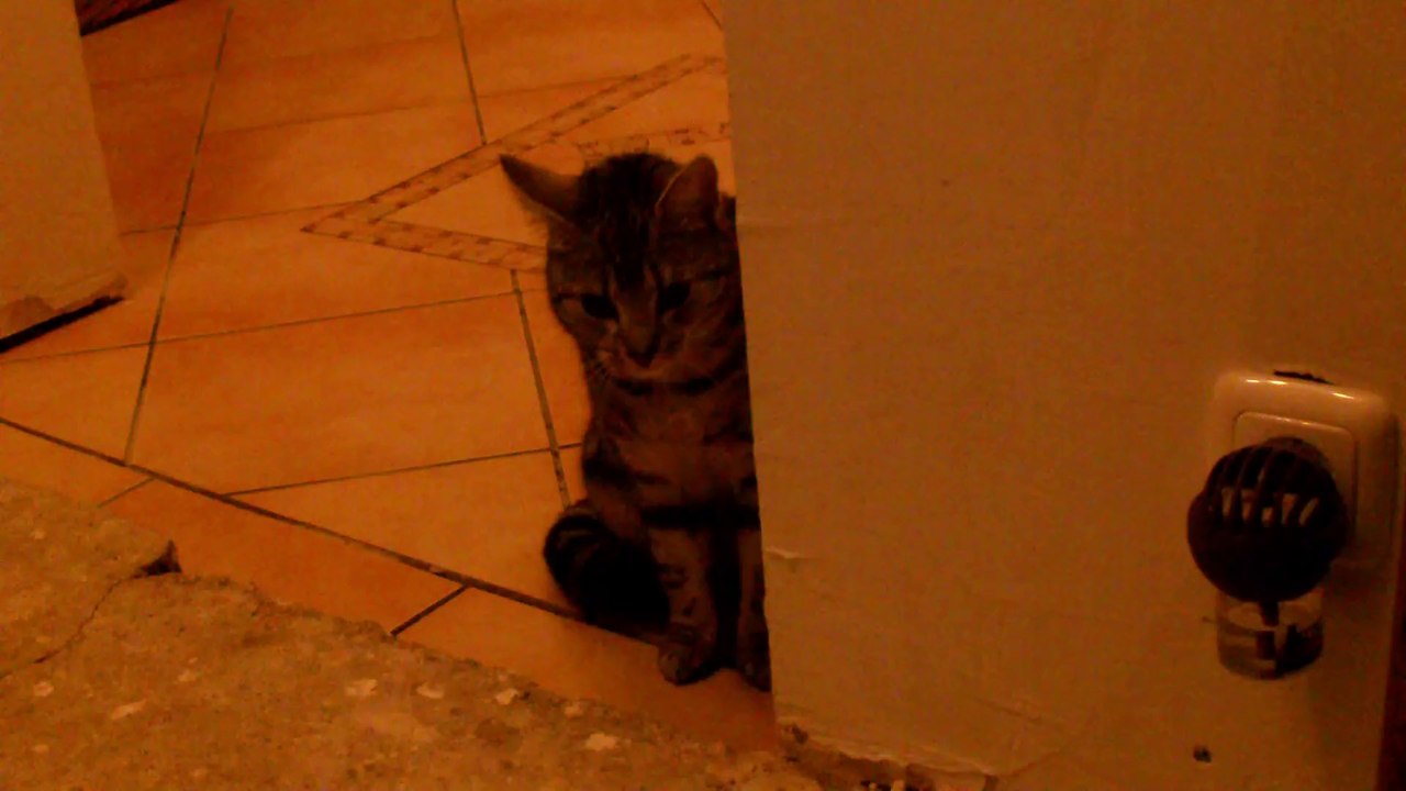 Curry und Mocca Erste Sicht durch Glaswand 3 070314