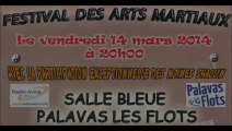 2014-03-14 Démonstration Aïkido au Festival des Arts Martiaux à Palavas