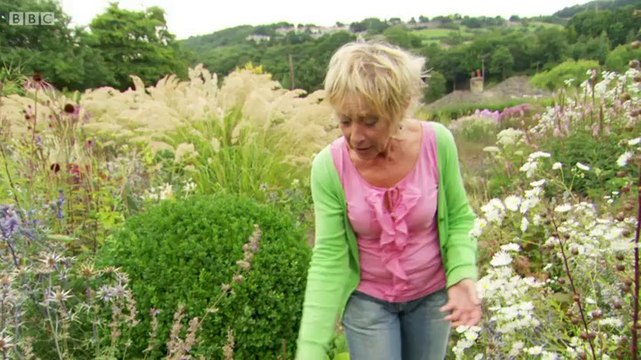 Cottage Gardens & House Plants