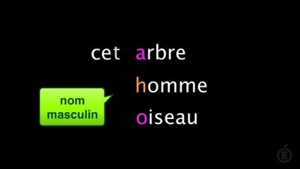 CET ( ou cette?) : emploi de ce déterminant démonstratif.