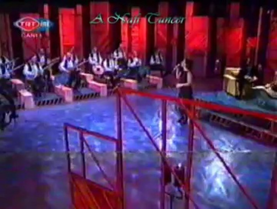 Makbule KAYA-Cemile’min Gezdiği Dağlar Meşeli (1)