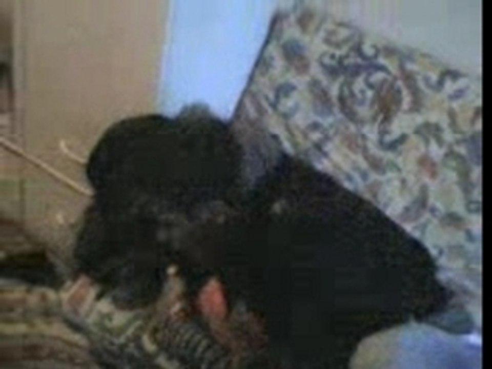 walid vs ludo avec guillaus et hakim