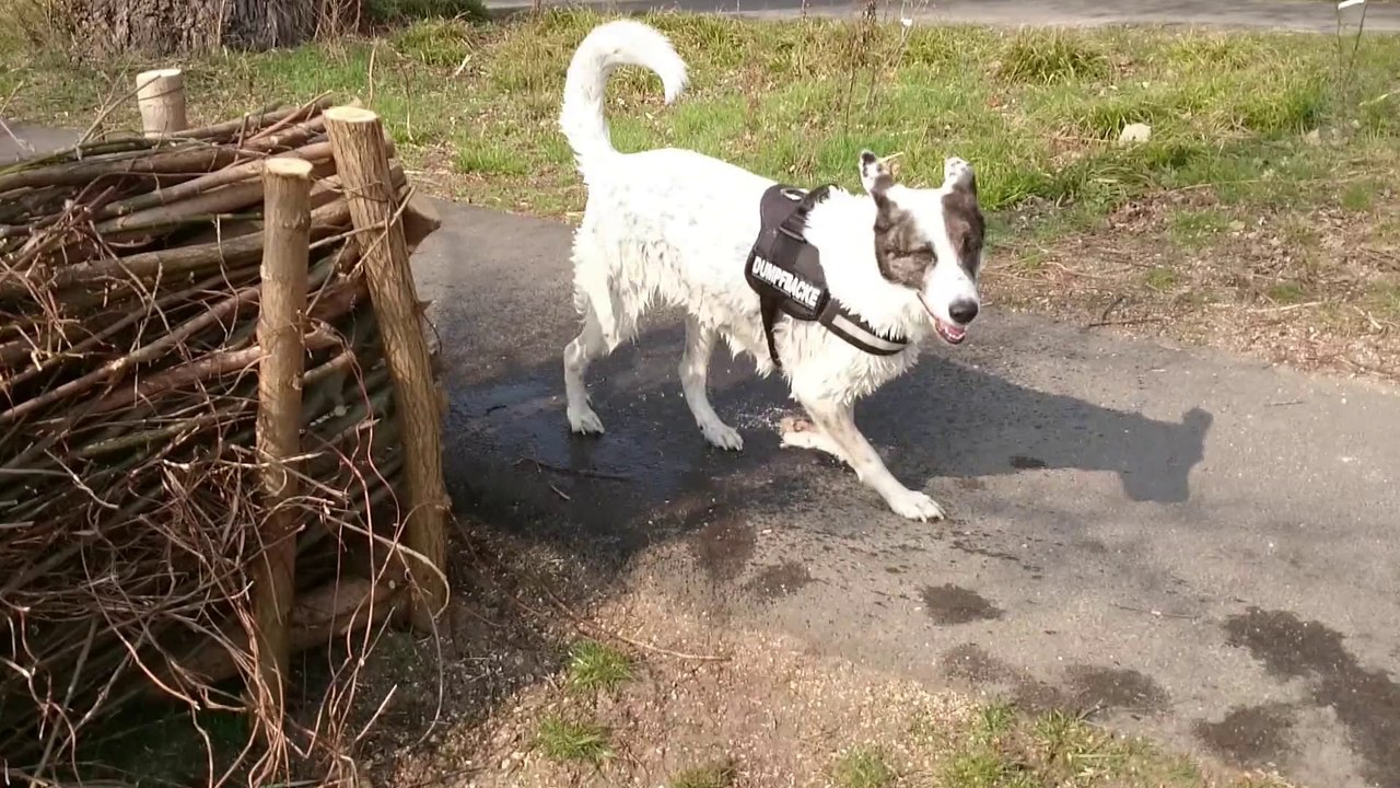 Nora und Kessy am Wasser