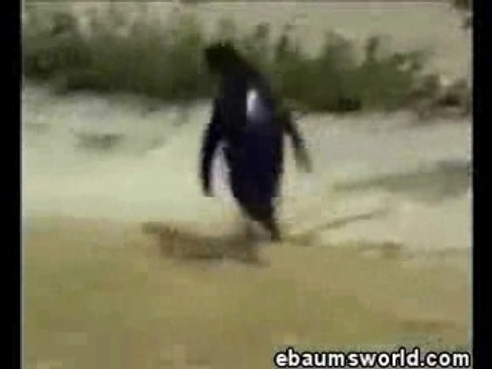 techno penguin