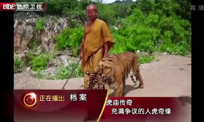 20130910  揭秘泰国虎庙传奇的人虎缘 是人性光辉还是另类暴利