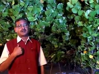 BRO YESANNA - SARVANGA SUNDARA