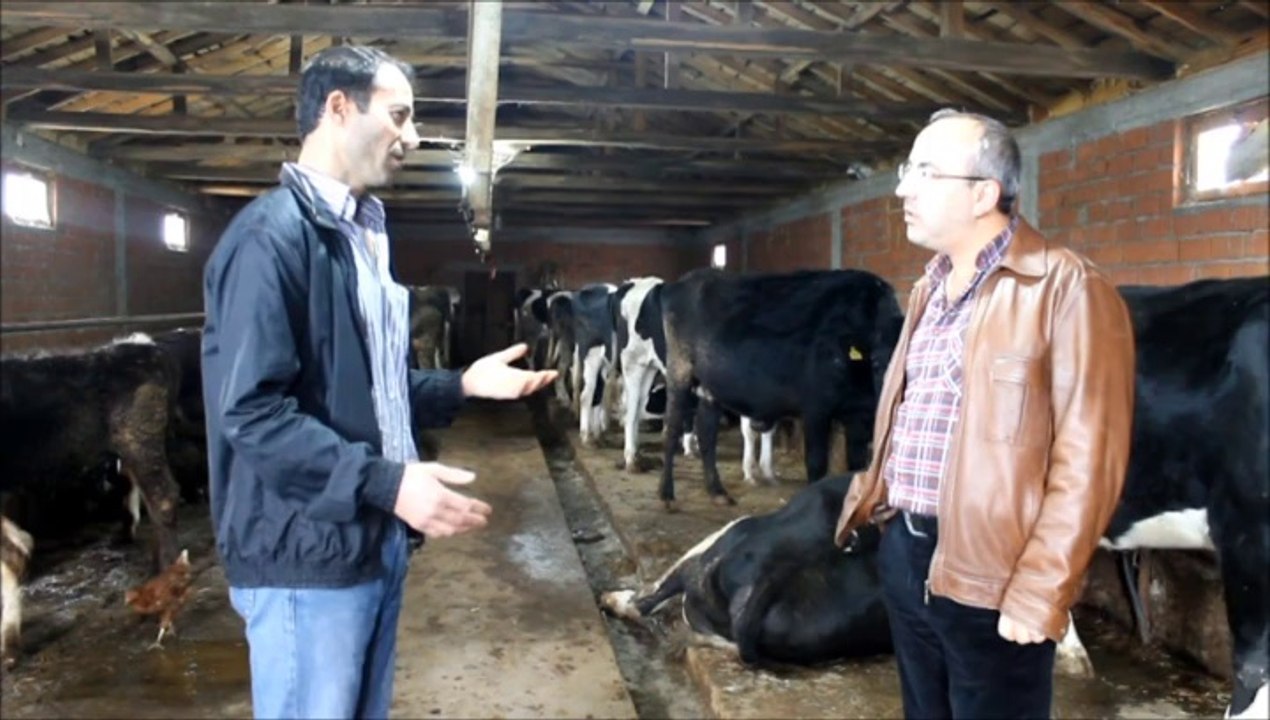 Turplu Köyü/BALIKESİR-Tanju ALTINTAŞ