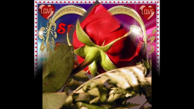 PRENSES GÜLŞEN ANNE GİBİ YAR OLMAZ