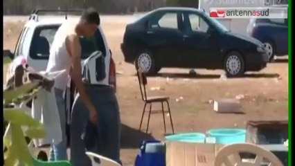 TG 28.03.14 15 euro al giorno per defoliare carciofi, "liberati" 54 nuovi schiavi nel Foggiano