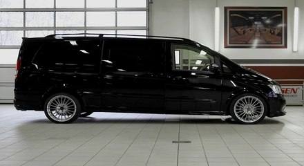 Araba Değil Resmen Saray Yavrusu