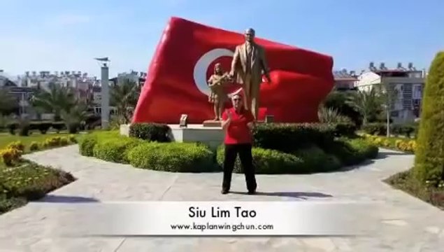 Siu Lim Tao - Sifu Murat Kaplan (For Reminder Purpose) - Happy 23 April