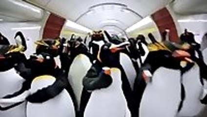 People in penguin suits invade a Russian subway
