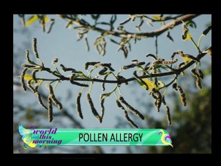 World This Morning-Pollen Allergy & Modelling Career