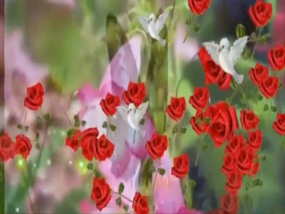 Adnan Şenses ...ELVEDA