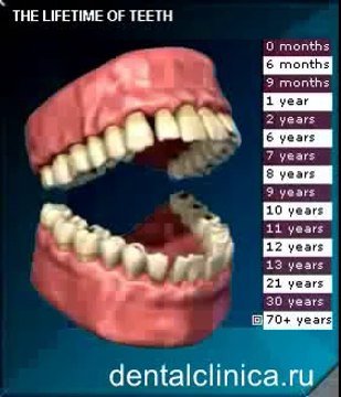 European Clinic of Aesthetic Dentistry Стоматология лечение зубов в Санкт-Петербурге Москве имплантация европейское качество низкие цены протезирование туризм путешествия отдых