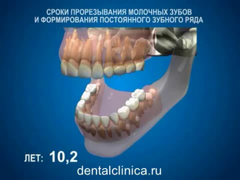 European Clinic of Aesthetic Dentistry Стоматология лечение зубов имплантация европейское качество низкие цены протезирование туризм путешествия отдых