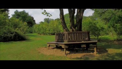 BEKLERSİN - SEVGİ KESKİN - KRİSTAL SES