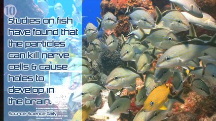 10 Awesome Facts About Nanotechnology