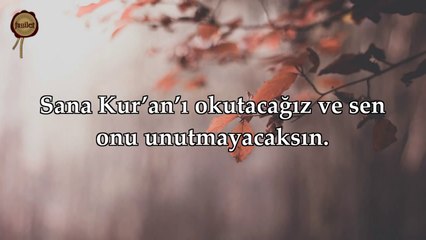 87 Ala Suresi - Nasser al Qatami