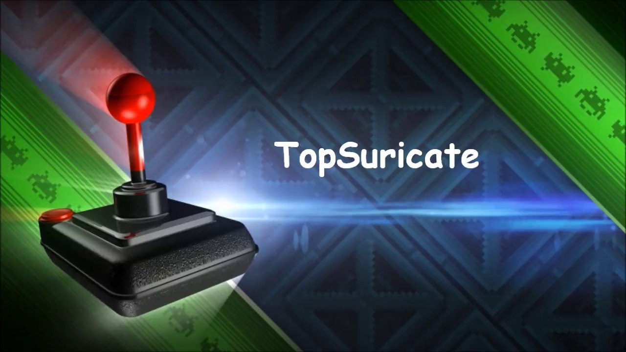 INTRO TOPSURICATE