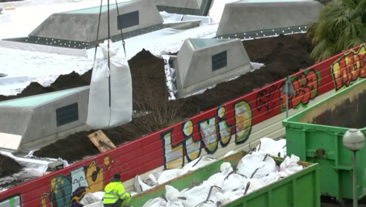 LES W-D.D. MICHOU TUESDAY NEWS - 28 JANVIER 2014 - STADE NAUTIQUE DEBUT DE LA CREATION DU JARDIN.