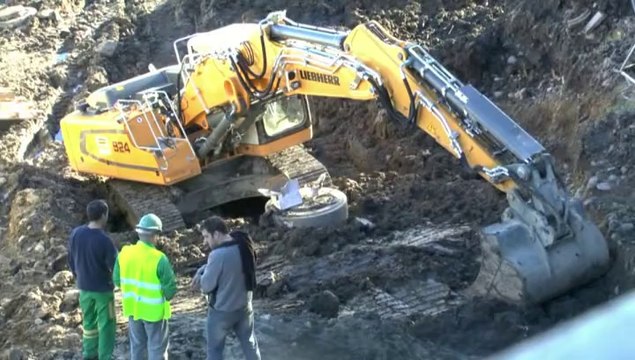 LES W-D.D. MICHOU SATURDAY NEWS - 8 FEVRIER 2014 - PREPARATION DU JARDIN LE LONG DE L'AVENUE NITOT.