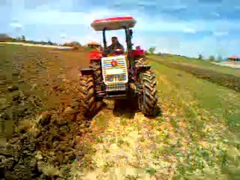 başak traktör 2075 d