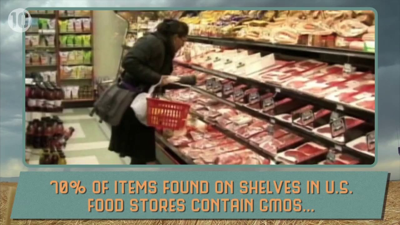 10 Worrying Facts About Genetically Modified Food