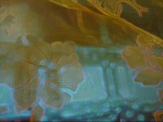 Frozen Silence...Meadow