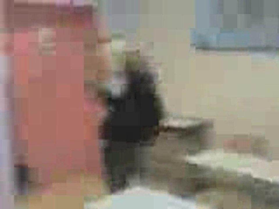 1 eeec