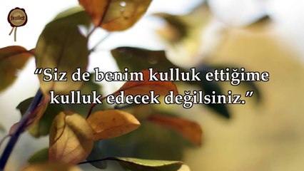 109 Kafirun Suresi - Nasser al Qatami