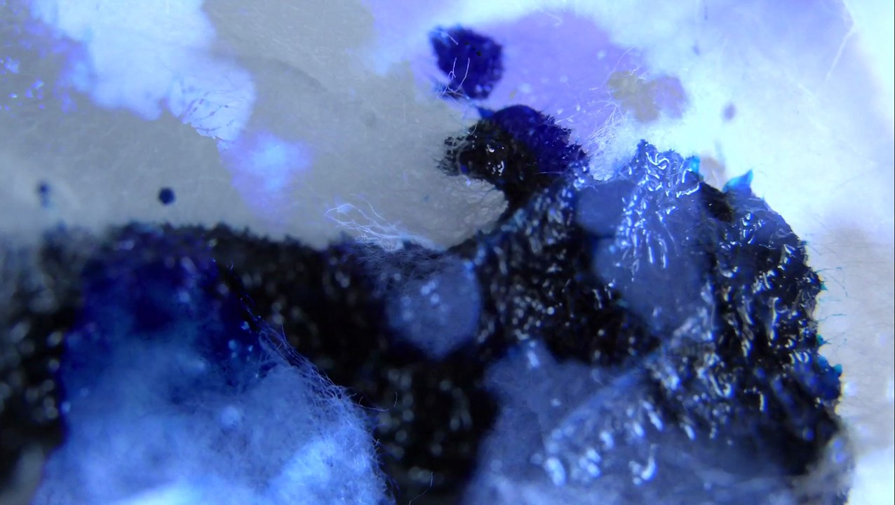 Monsters - Madame Patate (Official clip)