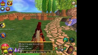 PlayerUp.com - Buy Sell Accounts - wizard101 account for sale(6)