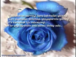 Dj AteŞ&SeviYoruM  DeLi GiBi