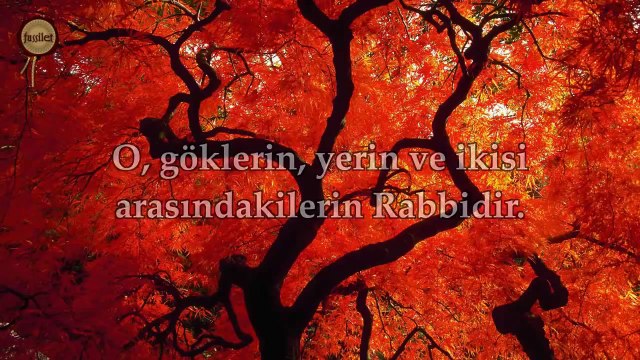 78 Nebe Suresi (Amme) - Nasser al Qatami