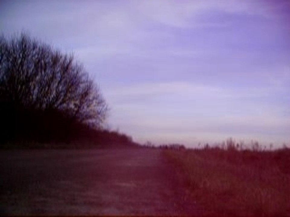 PICT0031