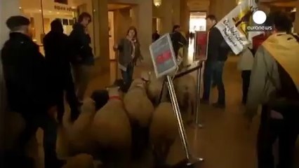 Αγρότες… μπούκαραν με τα πρόβατα στο μουσείο του Λούβρου