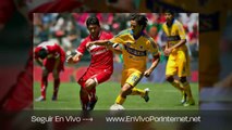 Ver Toluca vs Tigres EN VIVO 29 de Marzo Liga MX Clausura 2014