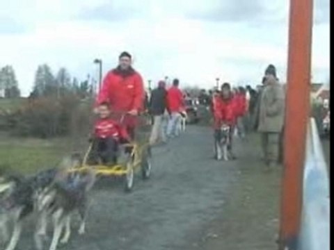 Mushing Club Forézien - Téléthon 2006