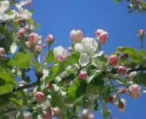 Ekta Hotat Paoa Sokal Bela- Rupankar