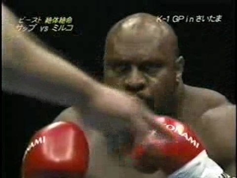 Mirko Crocop vs Bob Sapp