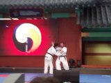 Türkiye Taekwondo Gösteri Takımı Hoshınsul-Self Defense