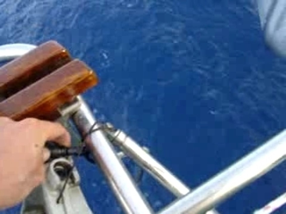 MOV03131