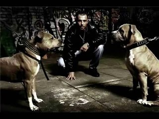 Massaka Laf Anlamaz Onlar