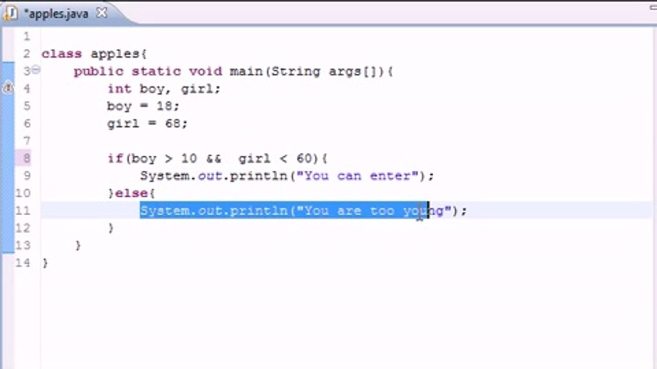 Java Level 1 Tutorial - 11 - Logical Operators