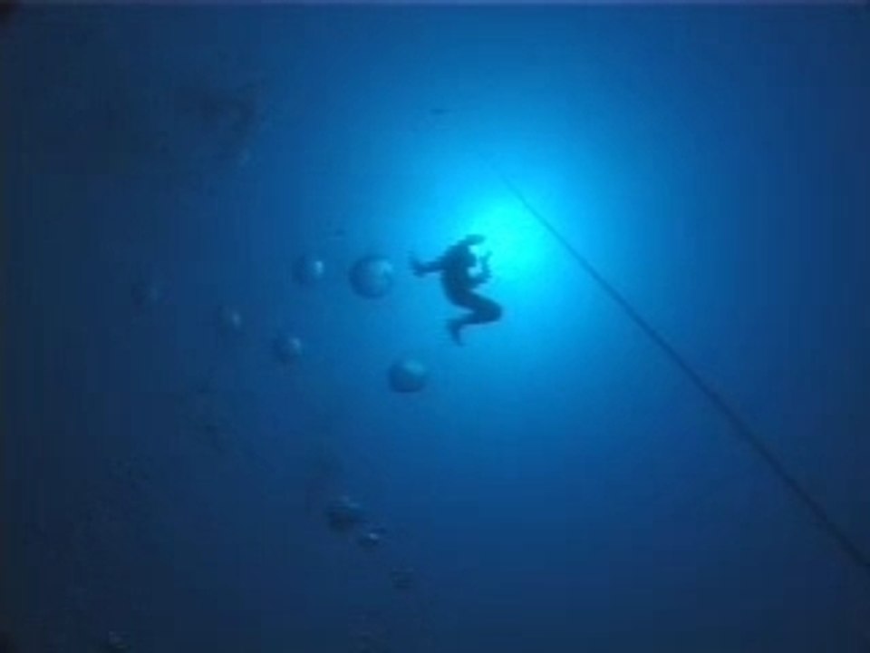 Poids constant sans palmes -48M