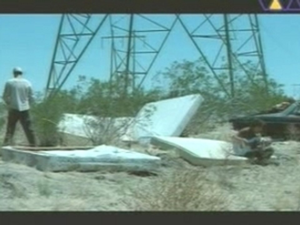 Red hot chili pepper - Scar tissue